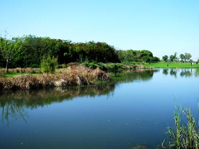 艾溪湖森林湿地公园