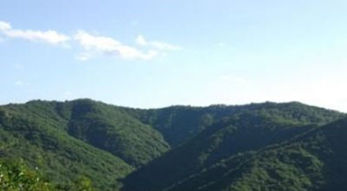 山西五鹿山国家级自然保护区