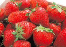 草莓。网络图