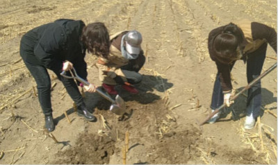 科左后旗农牧局组织植保技术人员到有关苏木镇开展技术调查。网络图