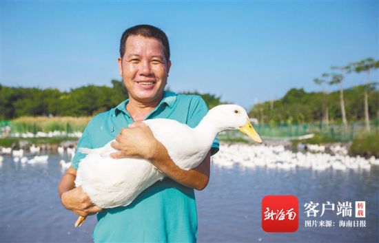 　6月2日，三亚市海棠区湾坡村村民在湾坡鸭示范基地展示喂养的湾坡鸭。 海南日报记者 武威 摄