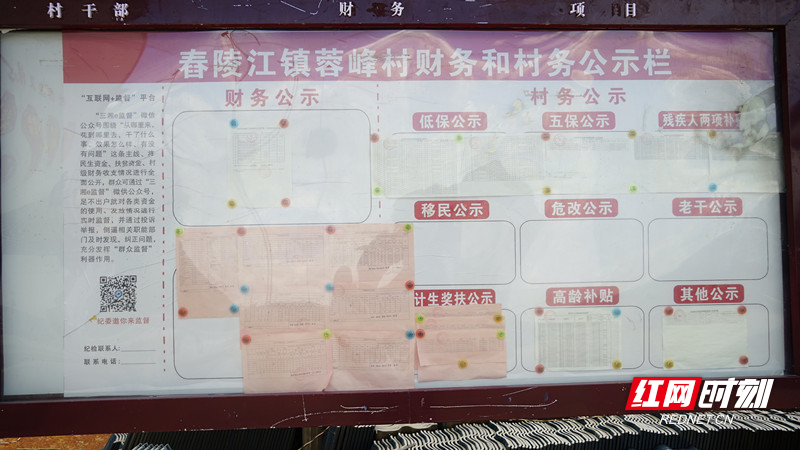 蓉峰村村务公开栏上，贴了大大小小的明细表。.jpg