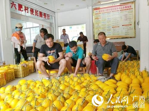 潘剑组织村“两委”干部对“黄金蜜露”甜瓜进行装箱。梧州市财政局供图